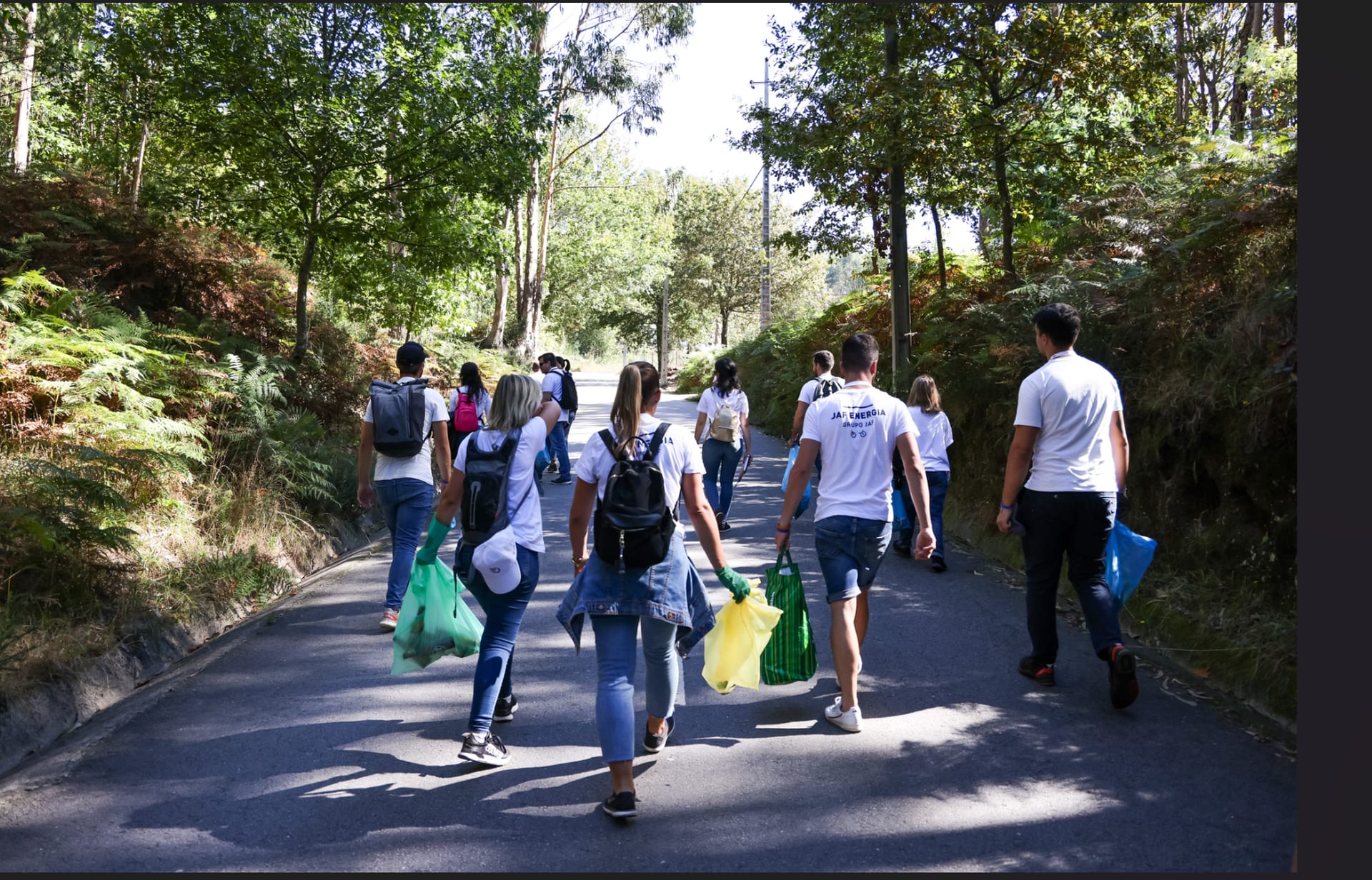 Grupo JAF team on a forest clean-up operation